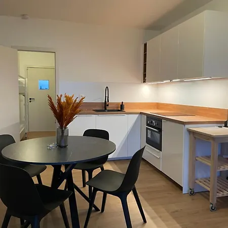 Safari - Modern, Vernieuwd App Met Zicht Op Zee * Nieuwpoort