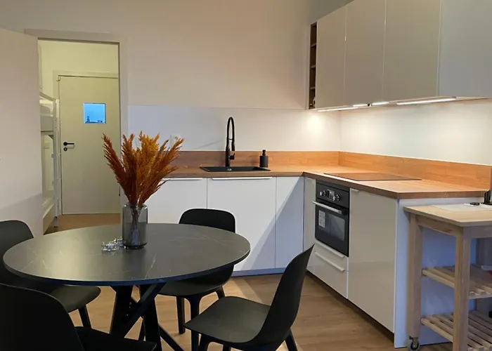 Safari - Modern, Vernieuwd App Met Zicht Op Zee * Nieuwpoort